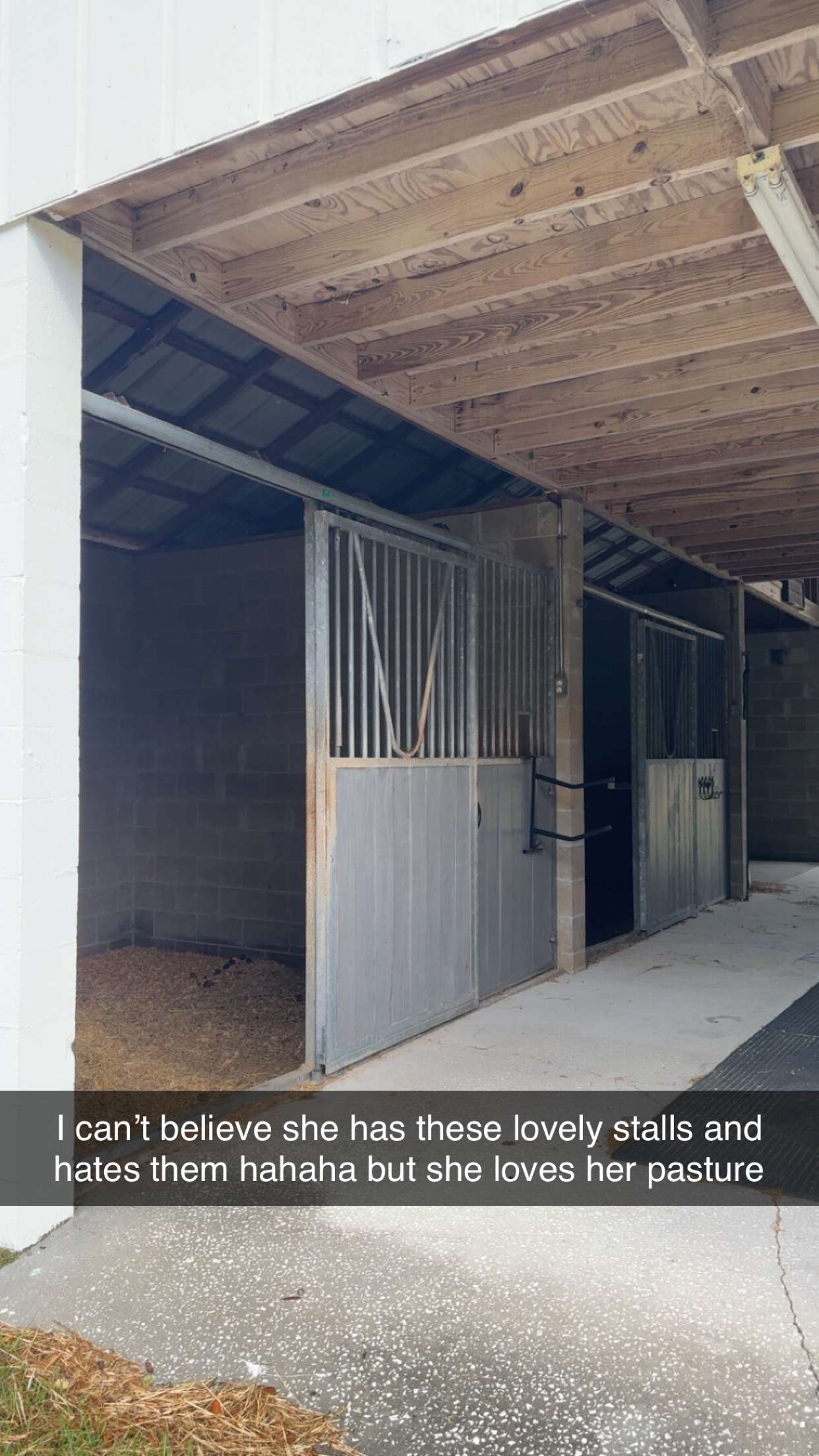 mckinley_1 snapchat image archive image