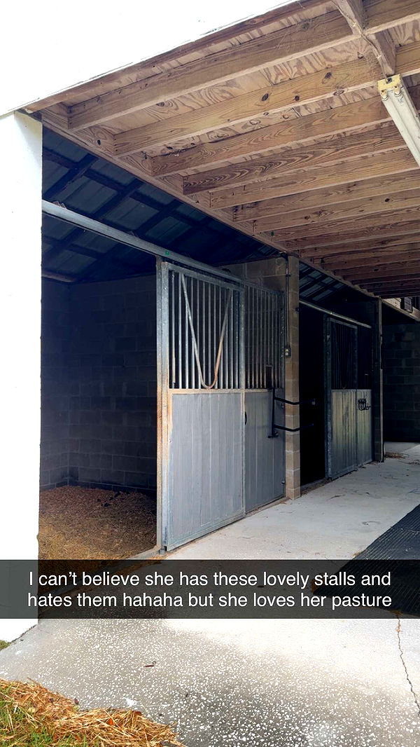 mckinley_1 image ~ Altpins