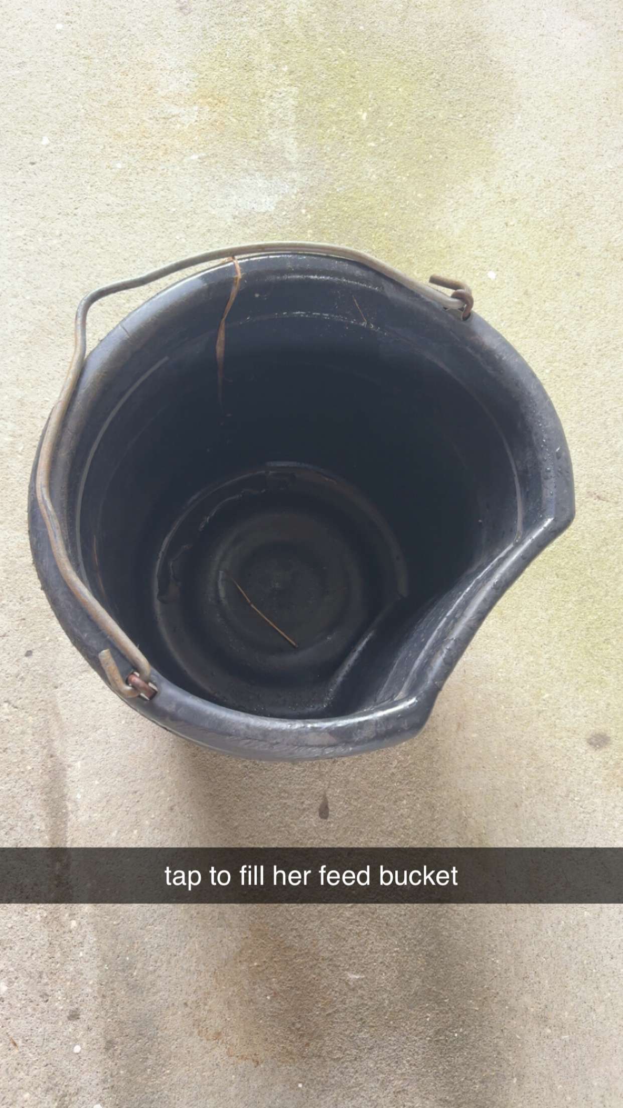 mckinley_1 snapchat image archive image