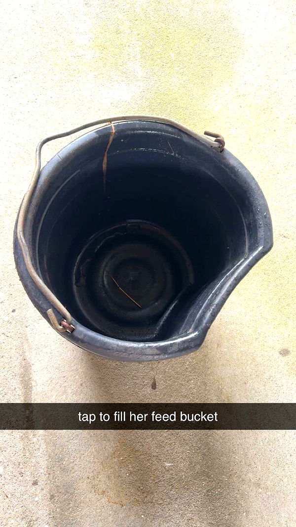 mckinley_1 image ~ Altpins