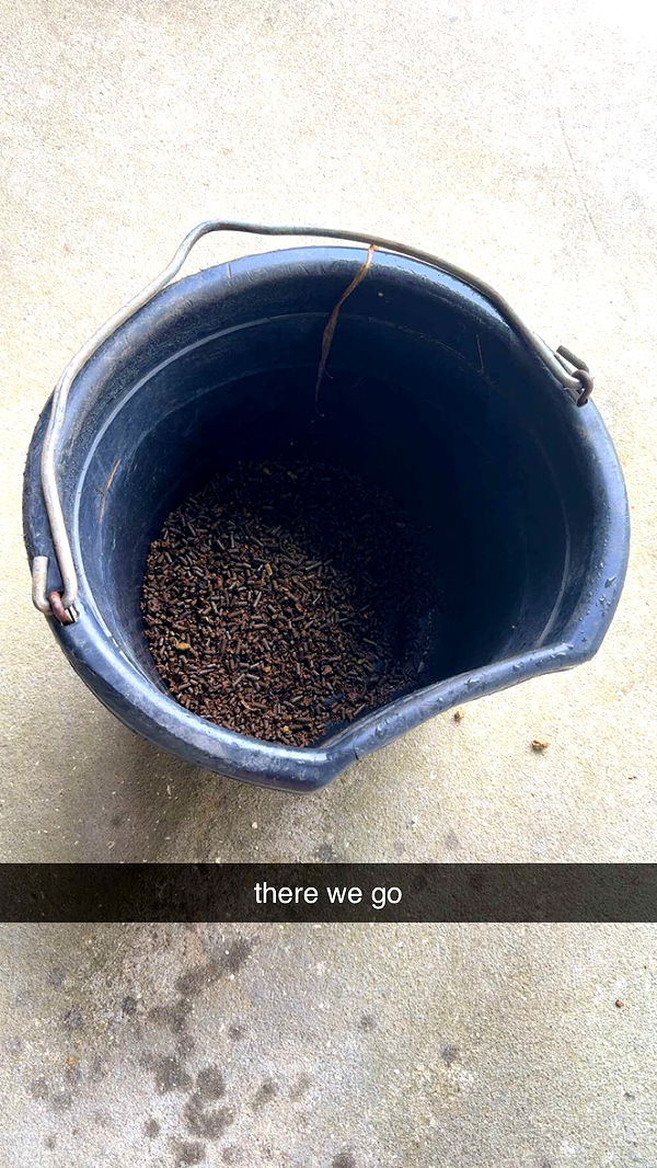 mckinley_1 image ~ Altpins