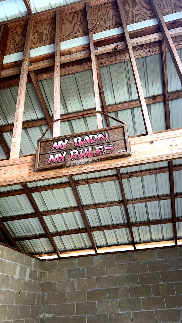 mckinley_1 image ~ Altpins