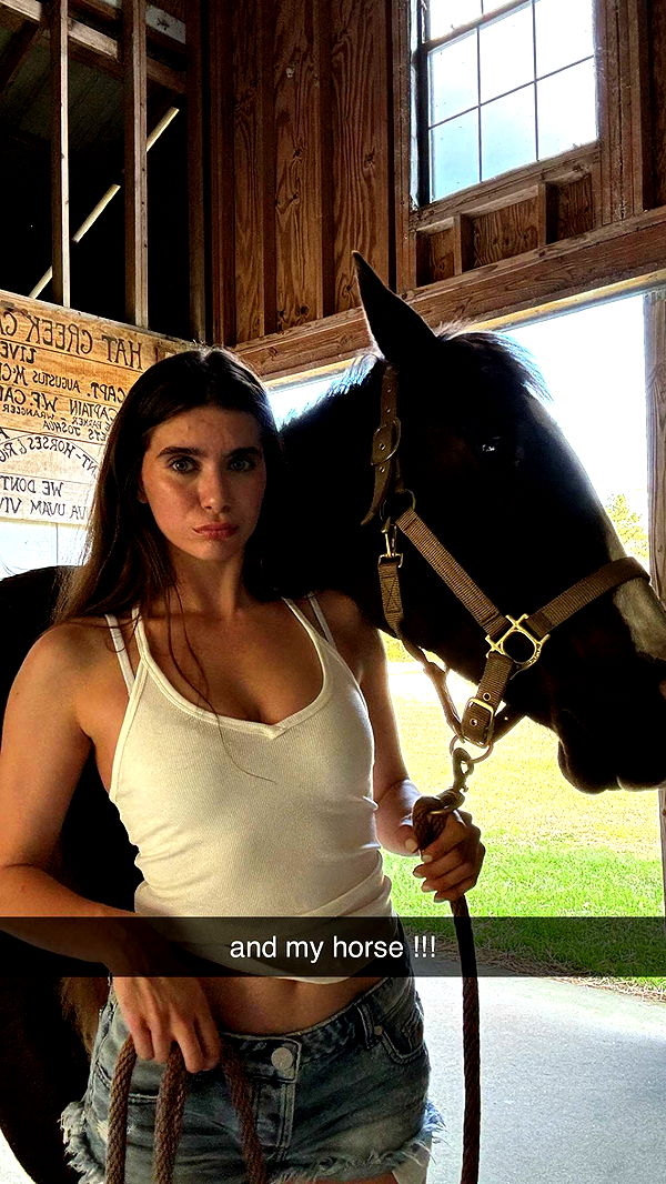 mckinley_1 image ~ Altpins