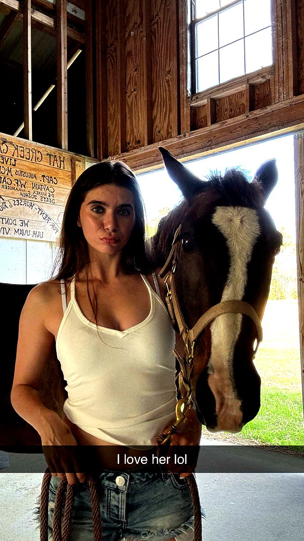 mckinley_1 image ~ Altpins