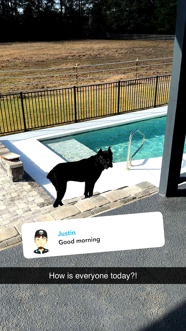 mckinley_1 image ~ Altpins