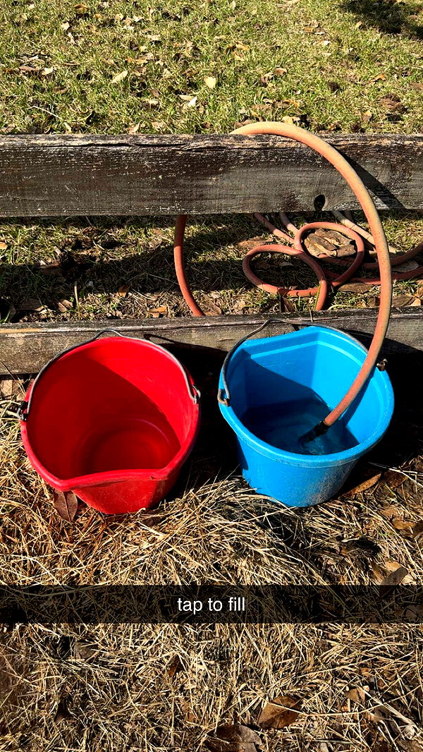 mckinley_1 image ~ Altpins