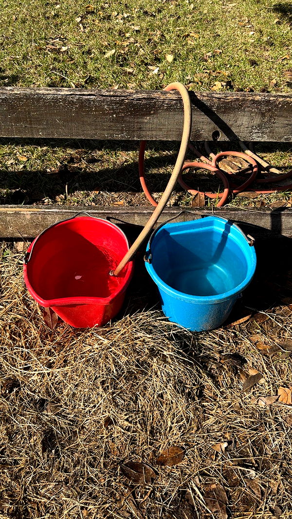 mckinley_1 image ~ Altpins