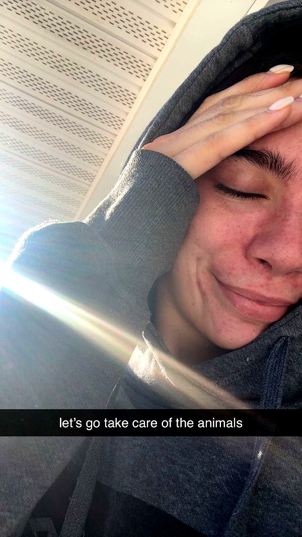 mckinley_1 image ~ Altpins