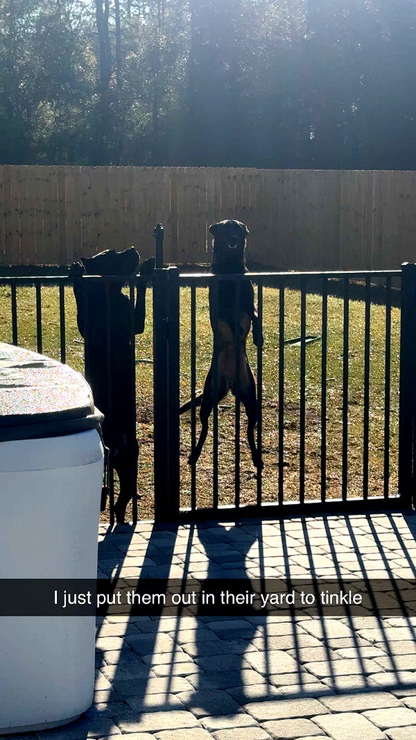 mckinley_1 image ~ Altpins