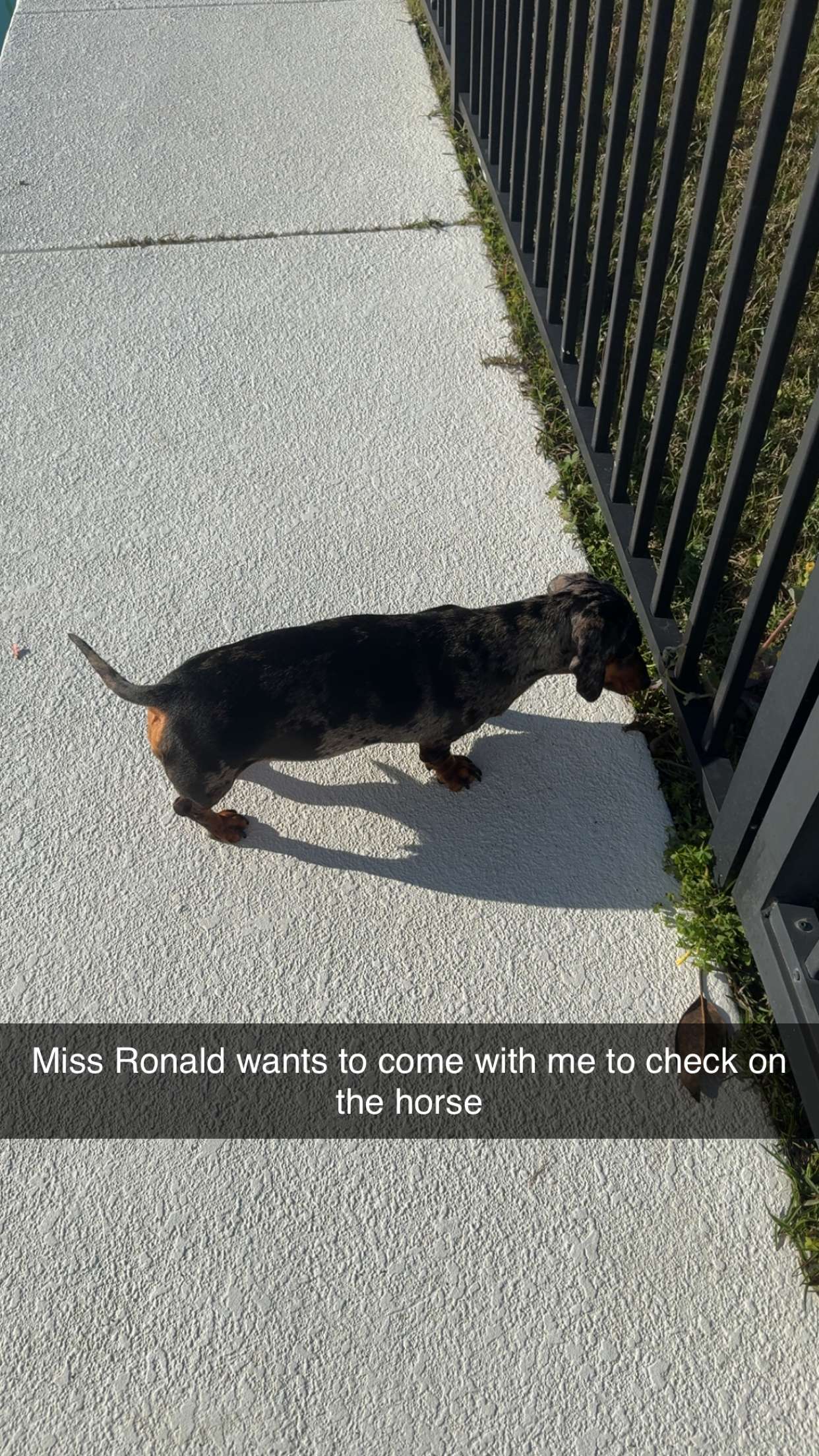 mckinley_1 snapchat image archive image