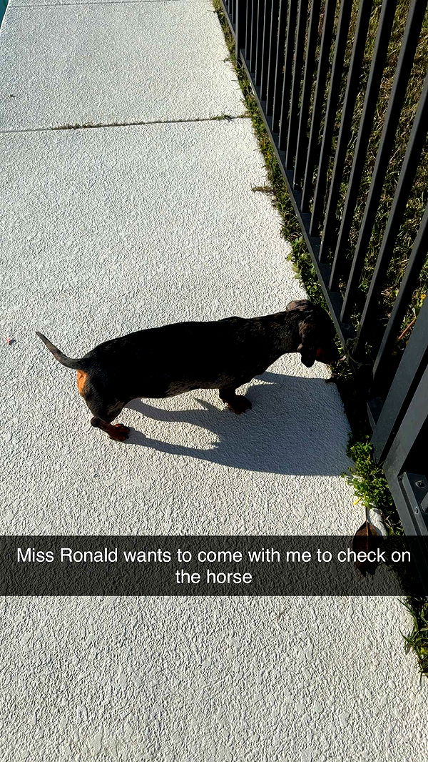 mckinley_1 image ~ Altpins