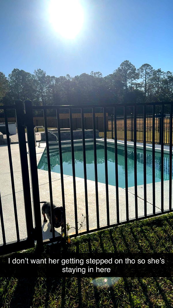 mckinley_1 image ~ Altpins