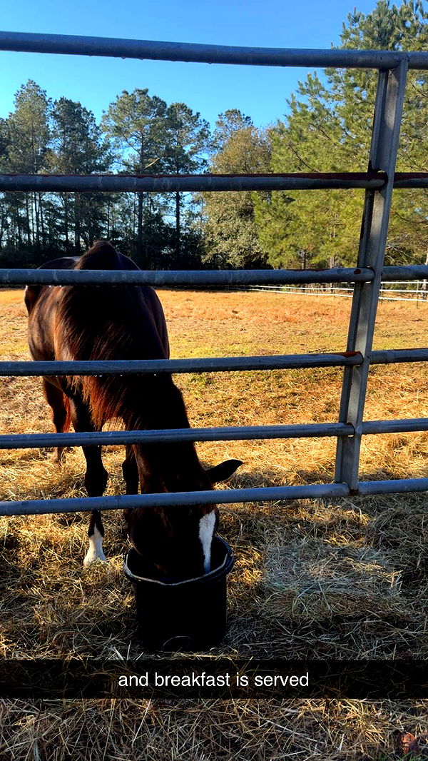 mckinley_1 image ~ Altpins