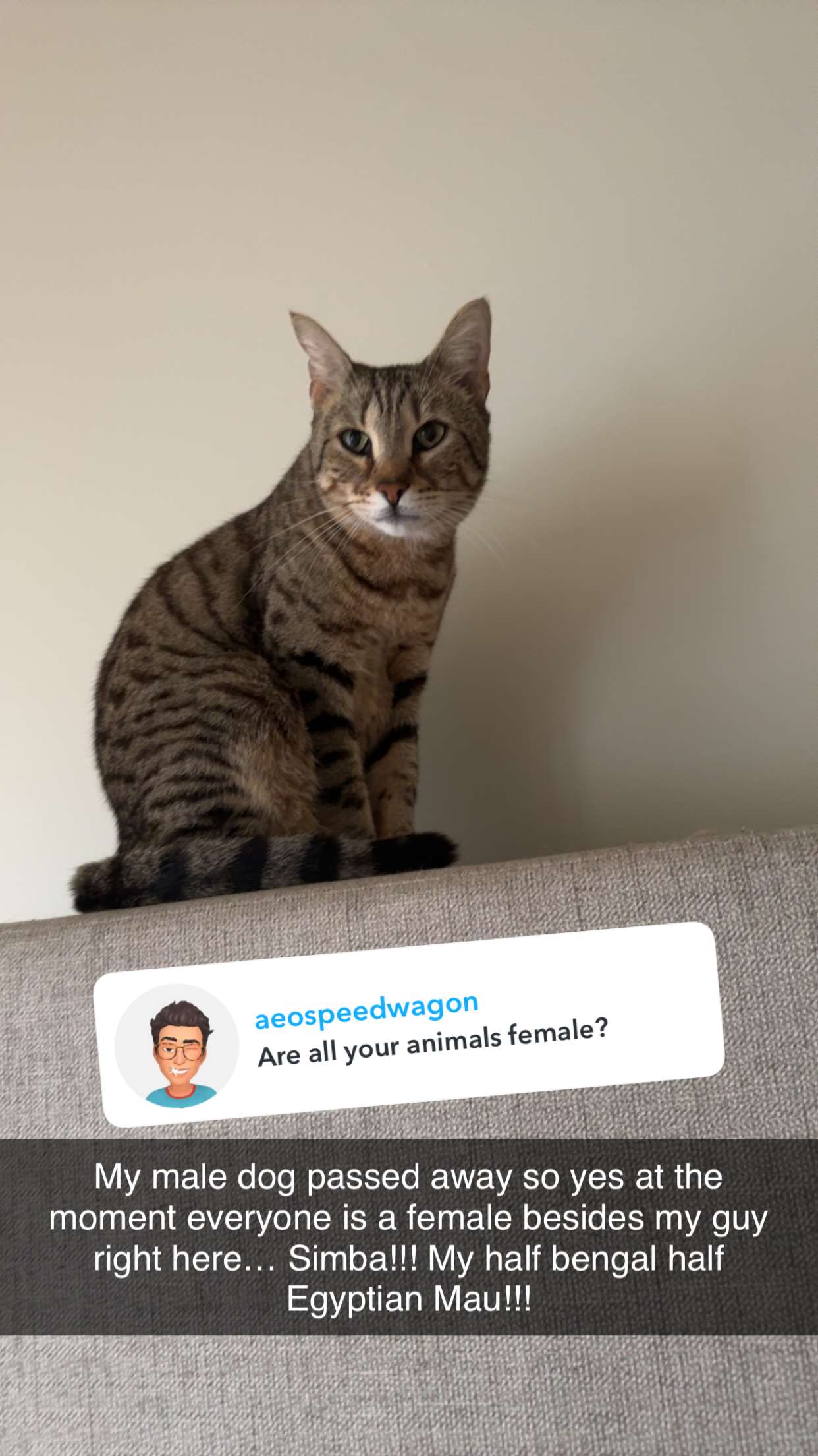 mckinley_1 snapchat image archive image