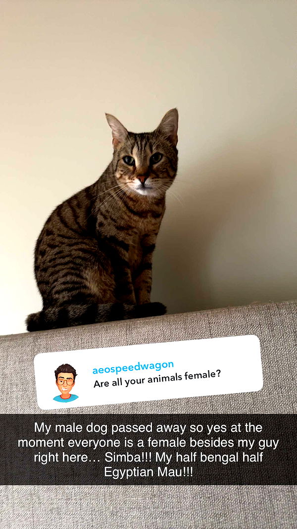 mckinley_1 image ~ Altpins