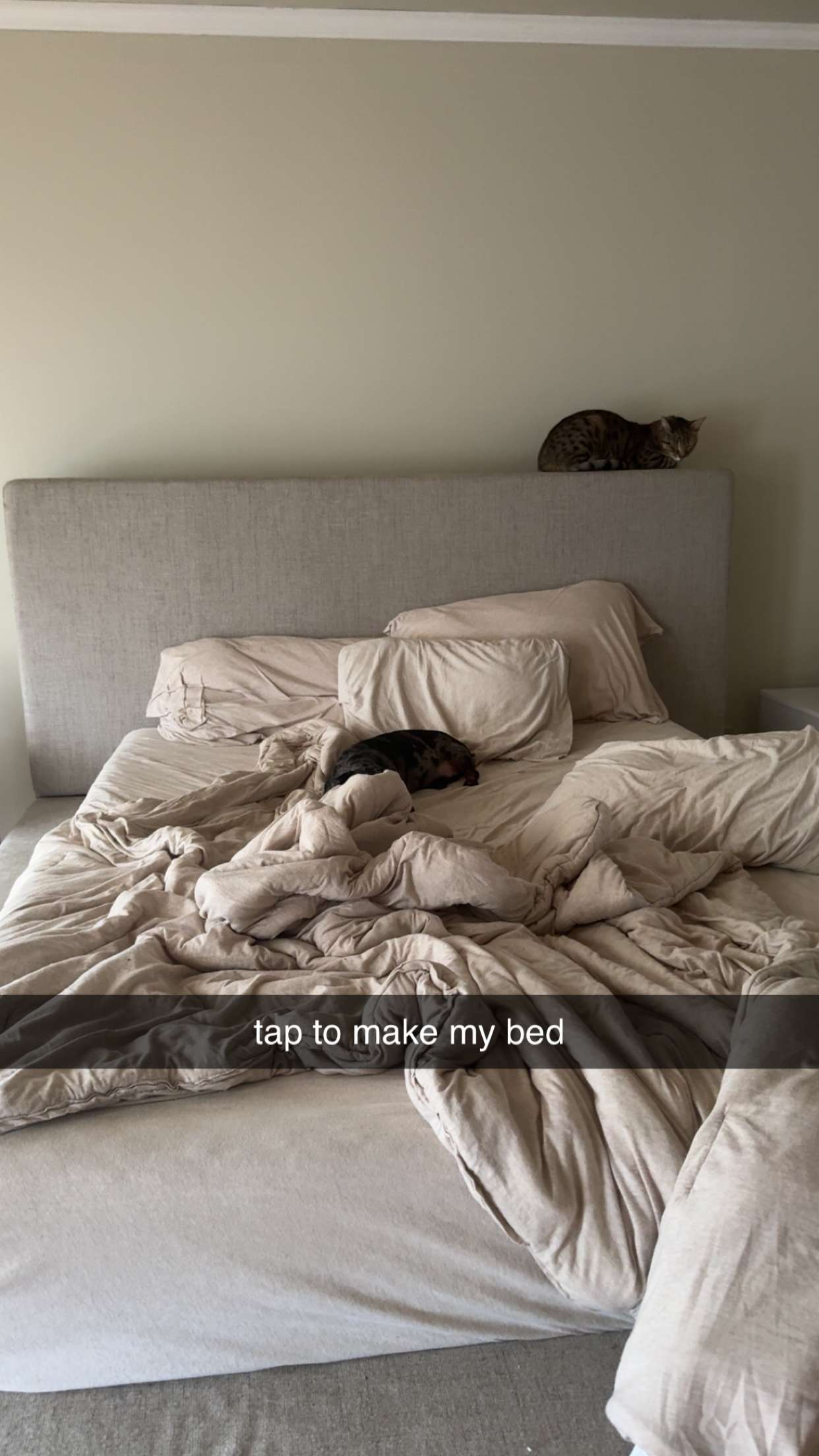 mckinley_1 snapchat image archive image