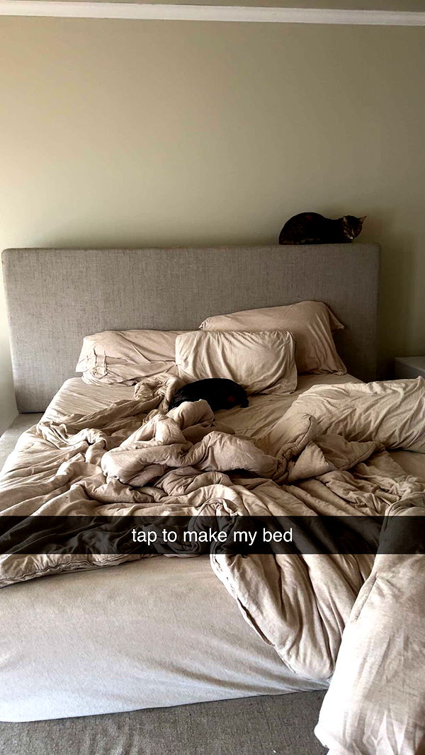 mckinley_1 image ~ Altpins