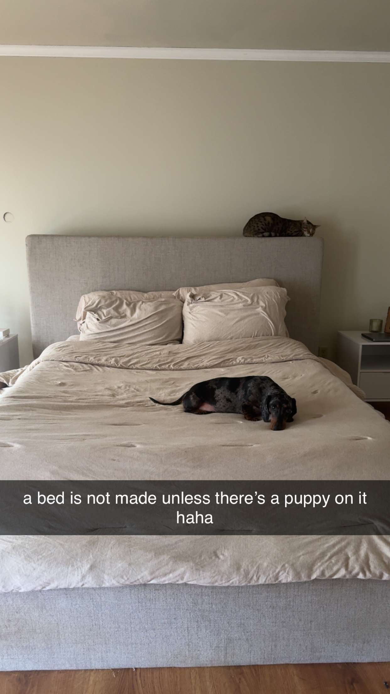 mckinley_1 snapchat image archive image