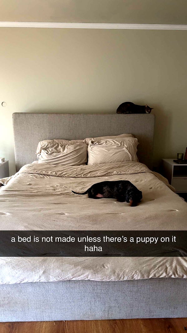 mckinley_1 image ~ Altpins