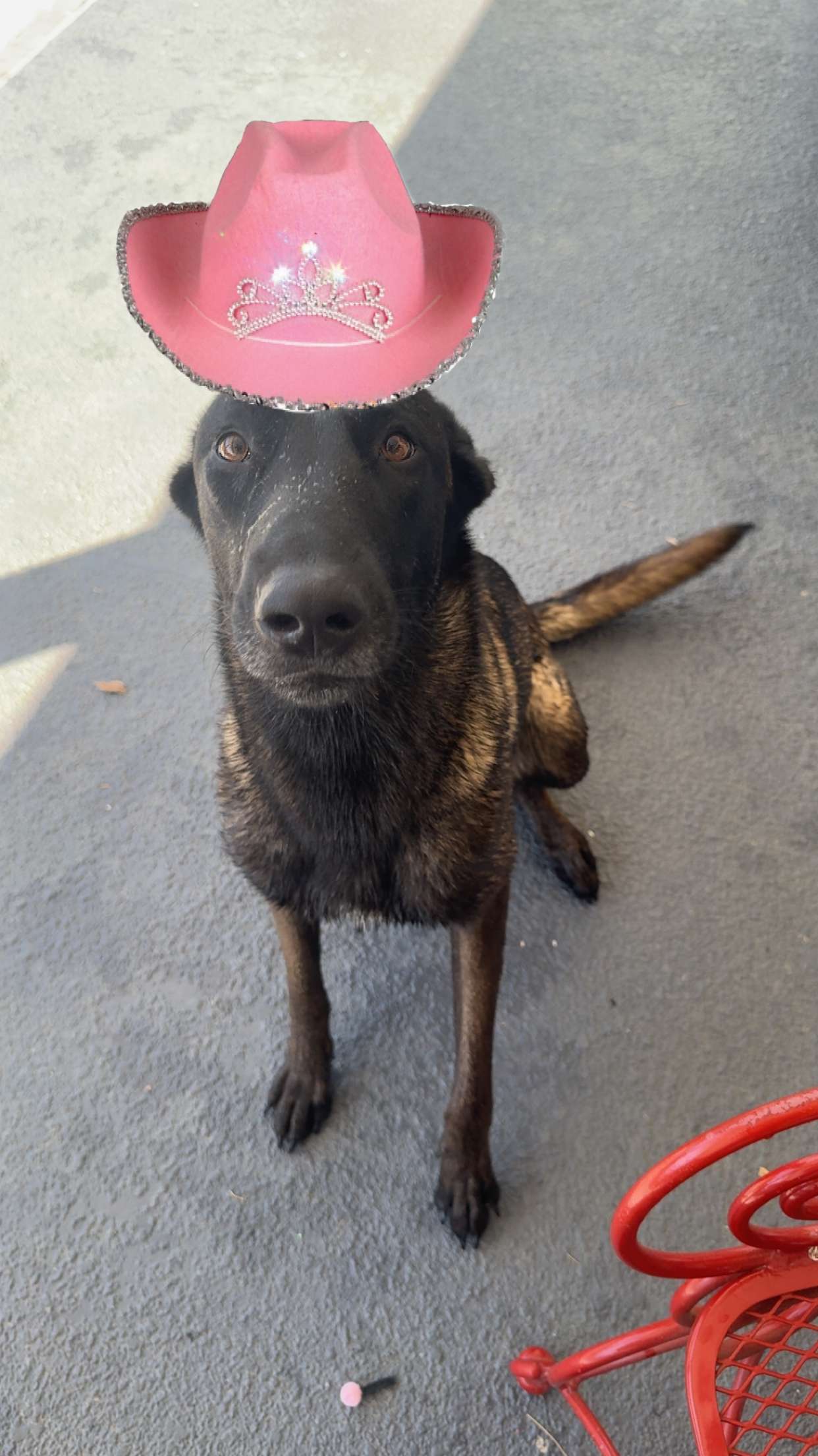 mckinley_1 snapchat image archive image