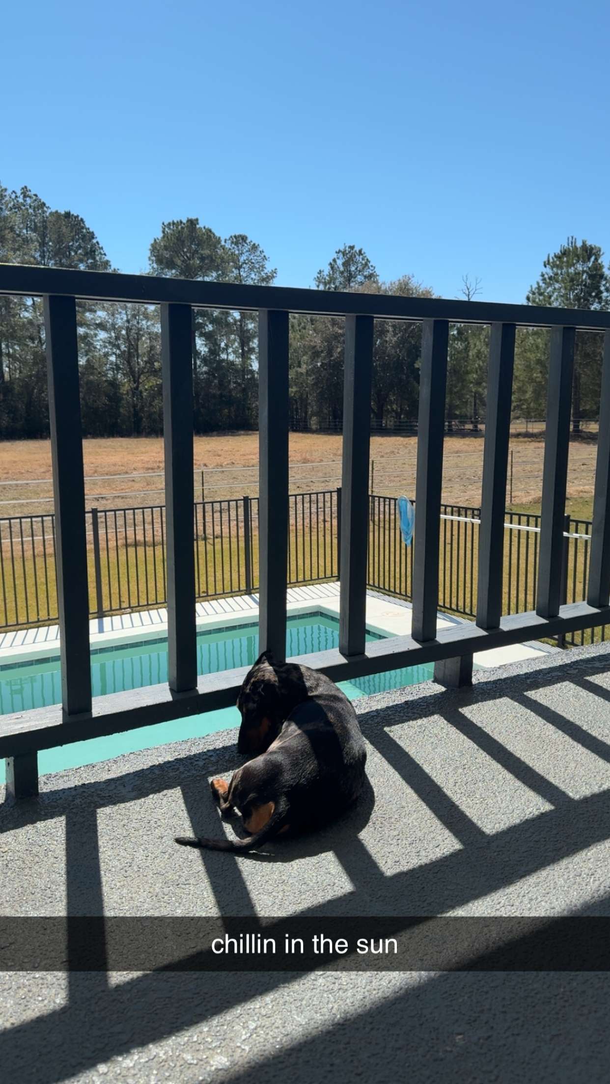 mckinley_1 snapchat image archive image