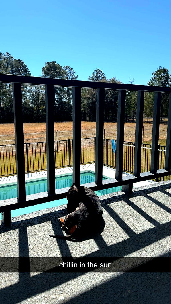 mckinley_1 image ~ Altpins