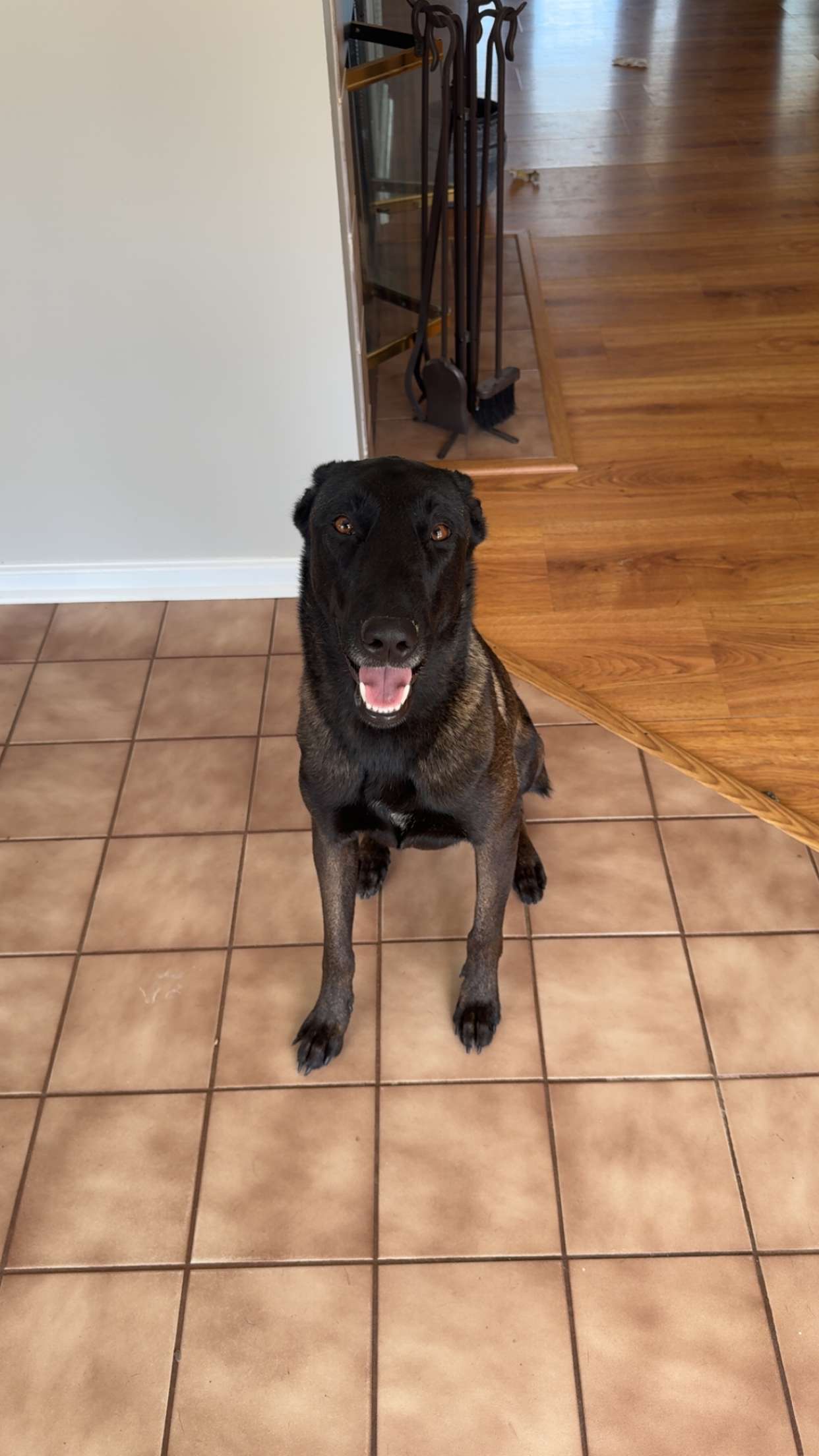 mckinley_1 snapchat image archive image