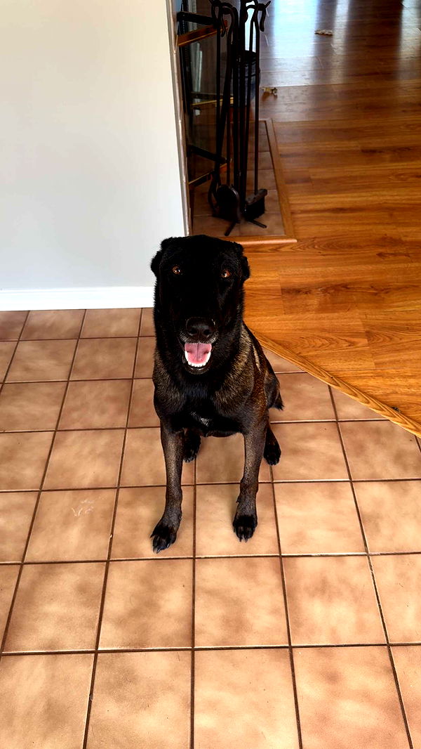 mckinley_1 image ~ Altpins