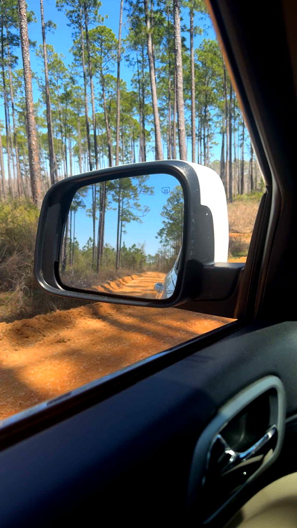 mckinley_1 image ~ Altpins