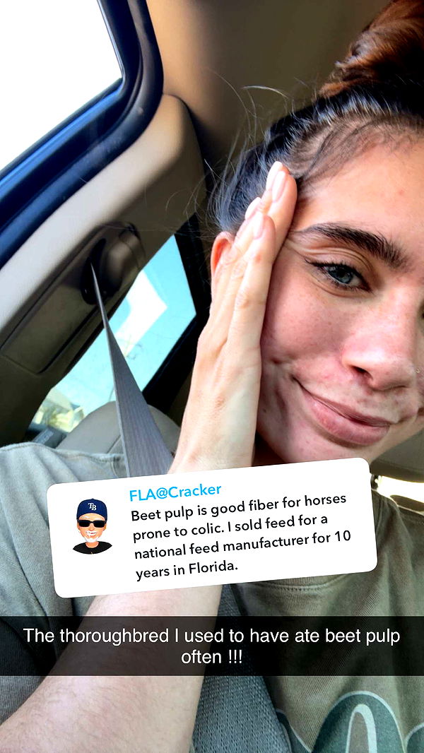 mckinley_1 image ~ Altpins