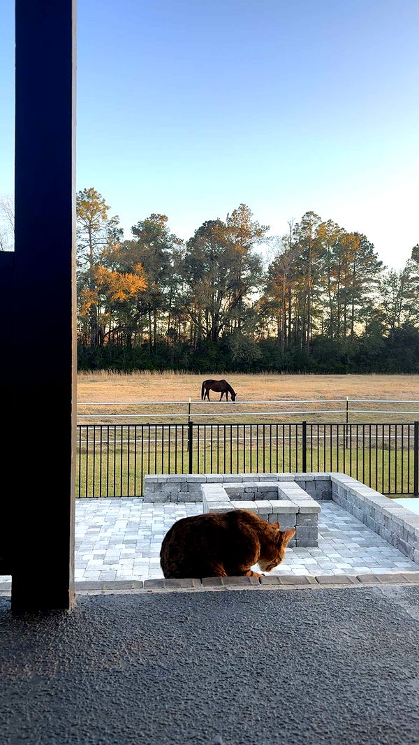 mckinley_1 image ~ Altpins