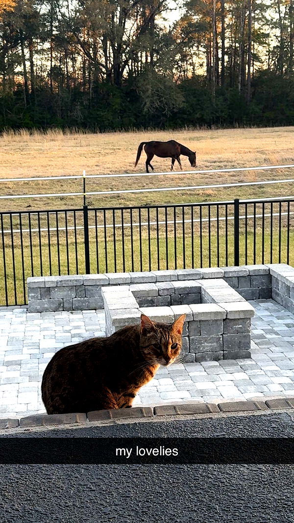 mckinley_1 image ~ Altpins