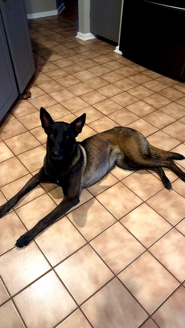 mckinley_1 image ~ Altpins