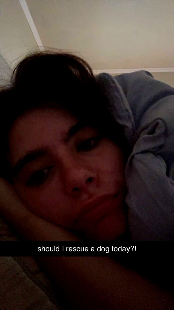 mckinley_1 image ~ Altpins