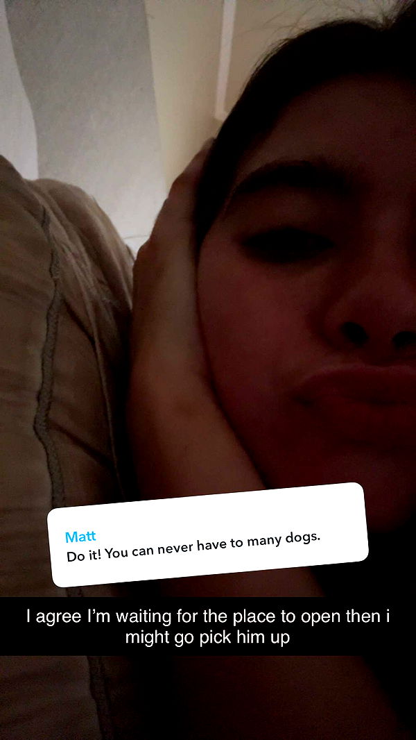 mckinley_1 image ~ Altpins