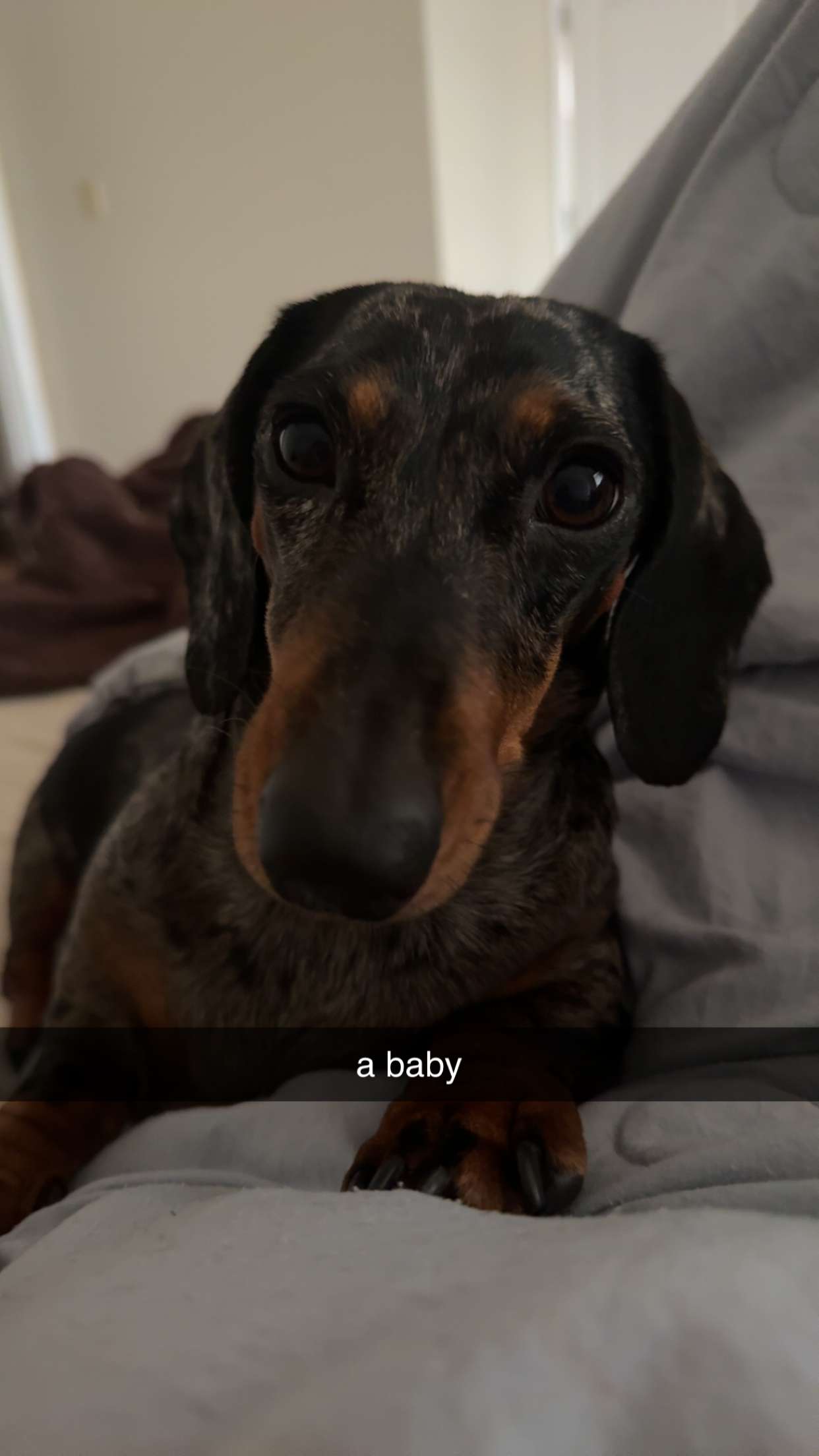 mckinley_1 snapchat image archive image