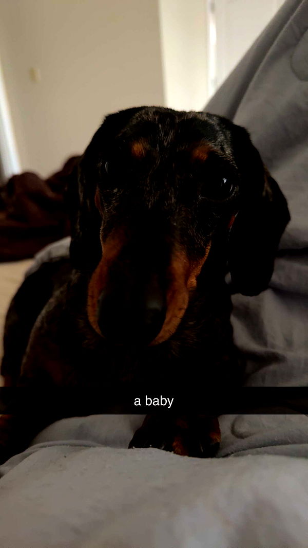 mckinley_1 image ~ Altpins