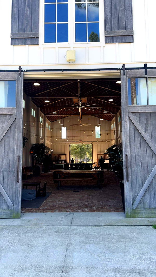 mckinley_1 image ~ Altpins