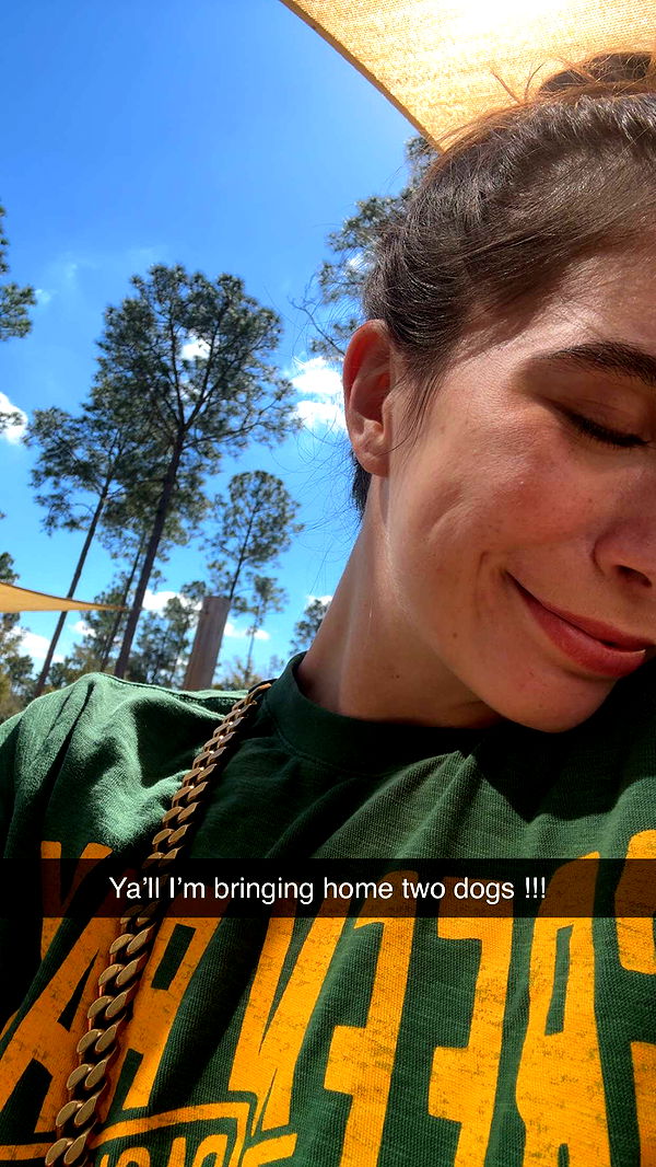 mckinley_1 image ~ Altpins