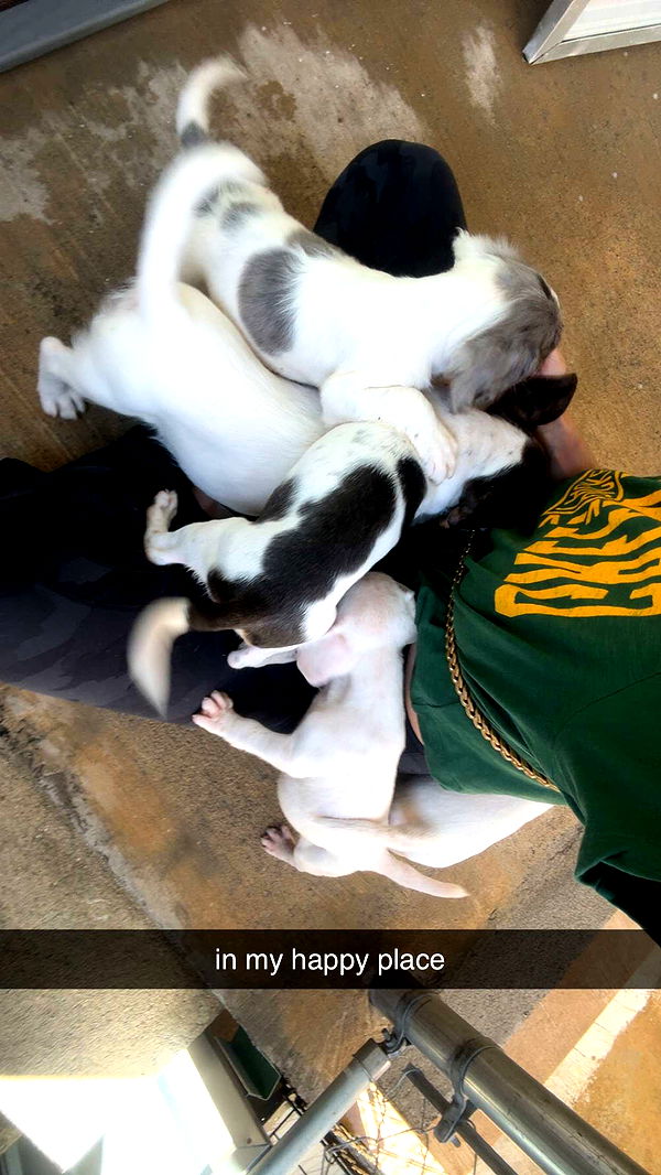 mckinley_1 image ~ Altpins