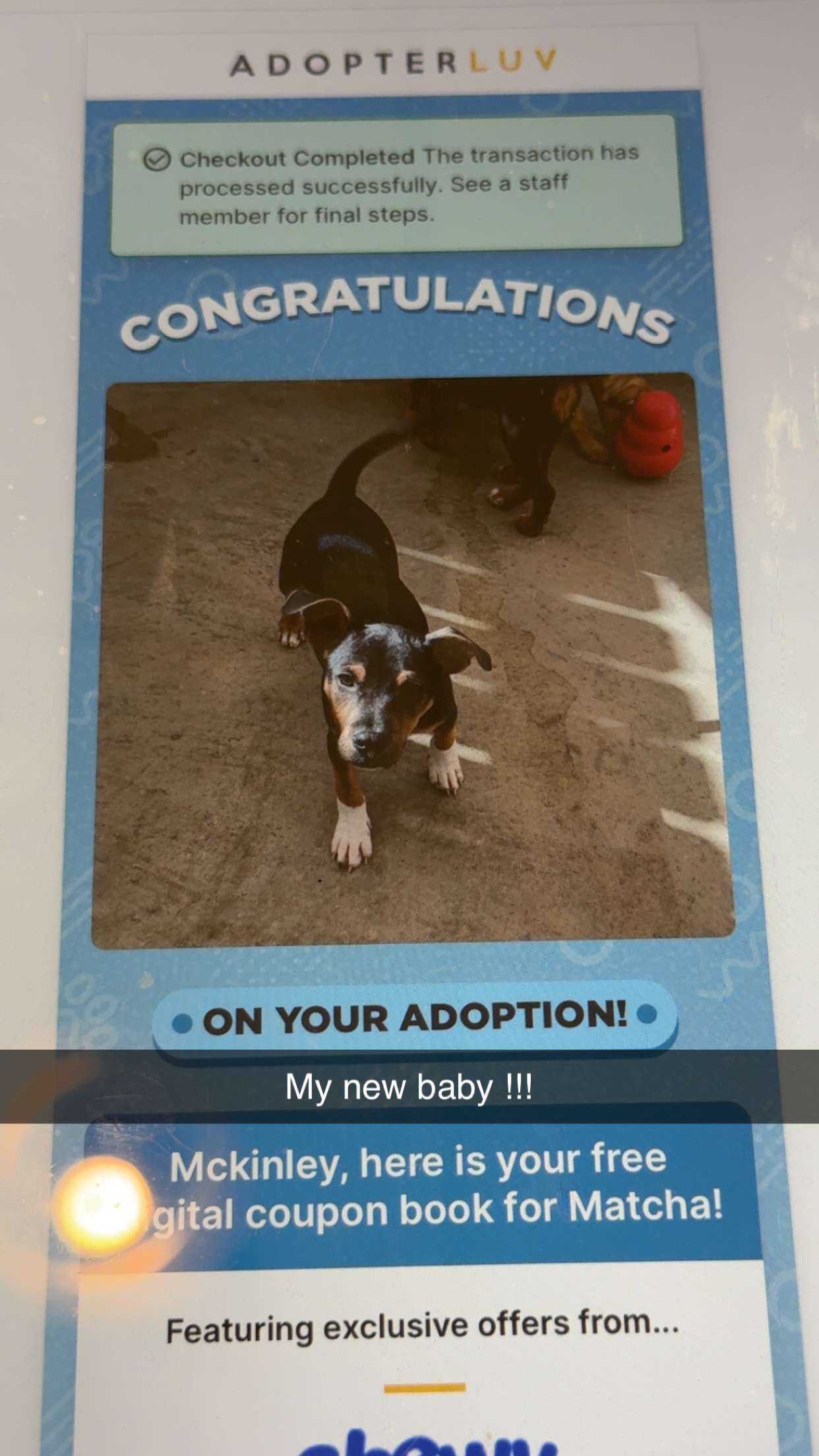 mckinley_1 snapchat image archive image