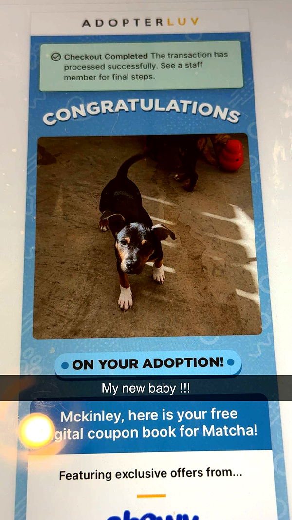 mckinley_1 image ~ Altpins