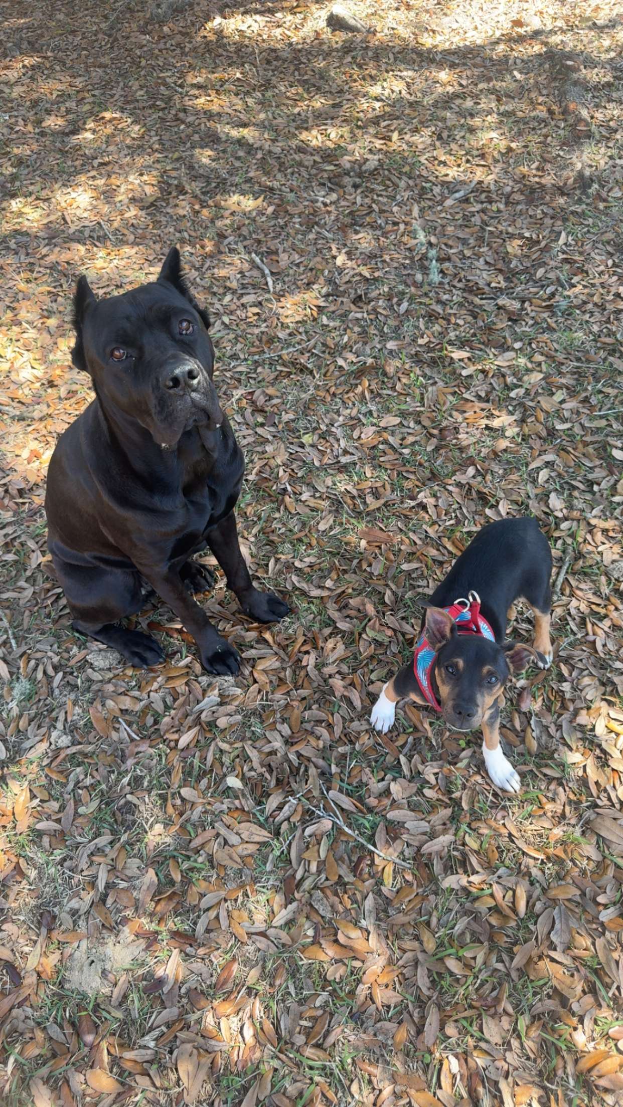 mckinley_1 snapchat image archive image