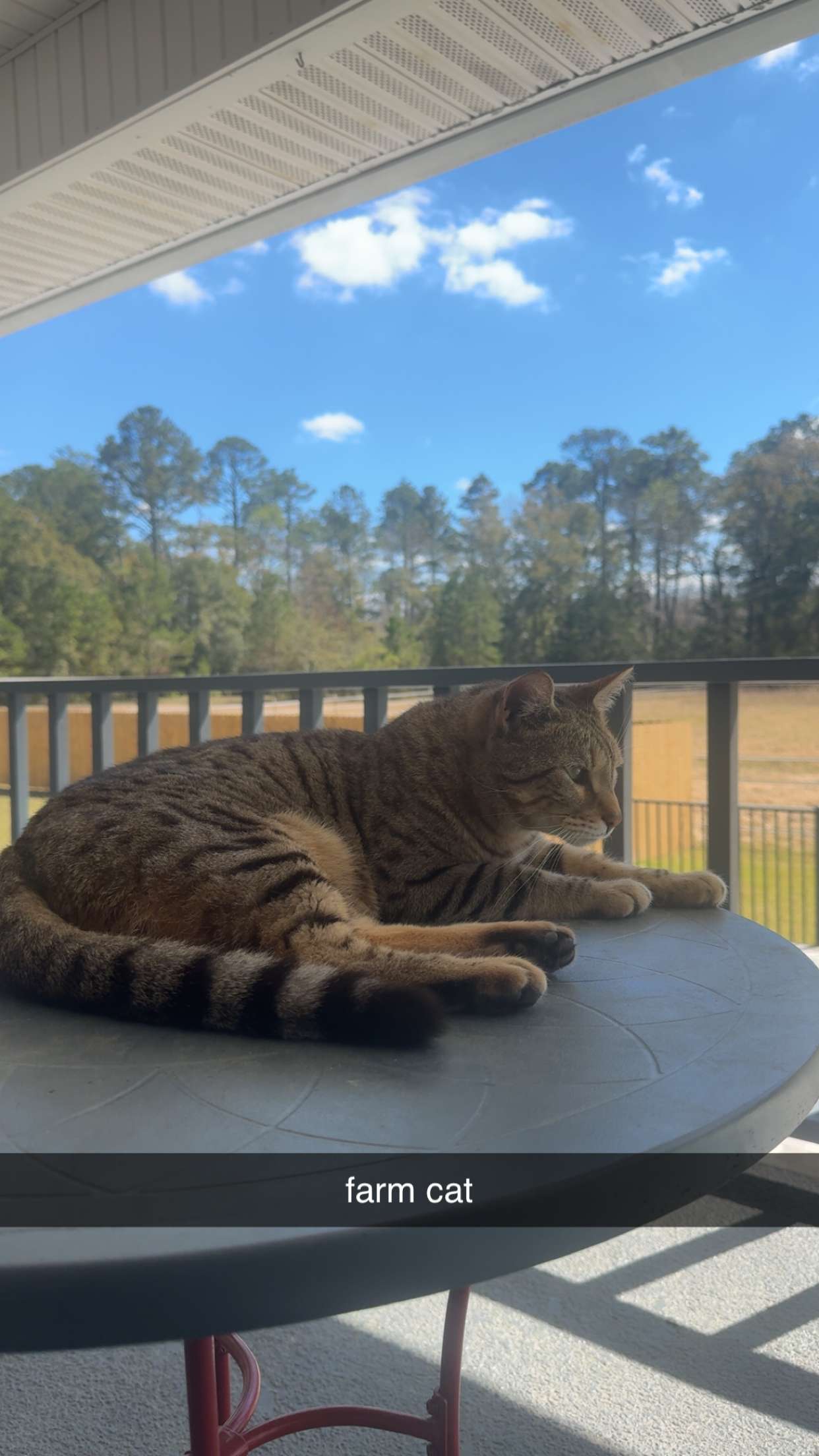 mckinley_1 snapchat image archive image