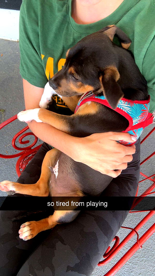 mckinley_1 image ~ Altpins