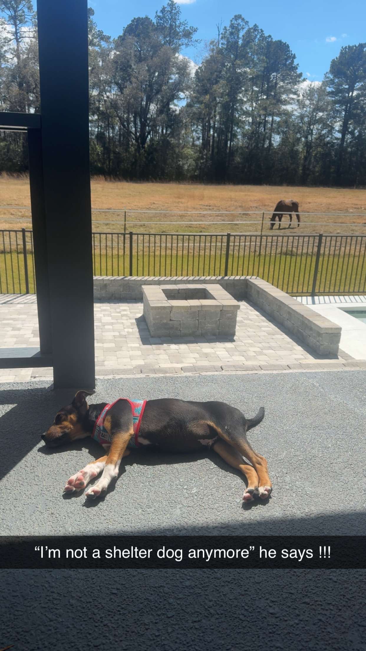 mckinley_1 snapchat image archive image