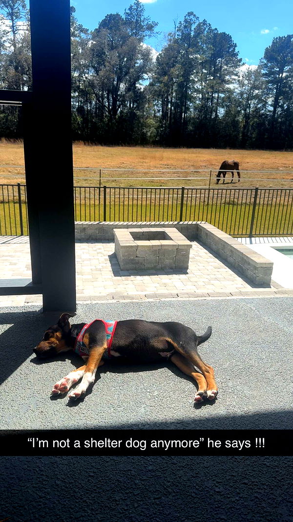 mckinley_1 image ~ Altpins