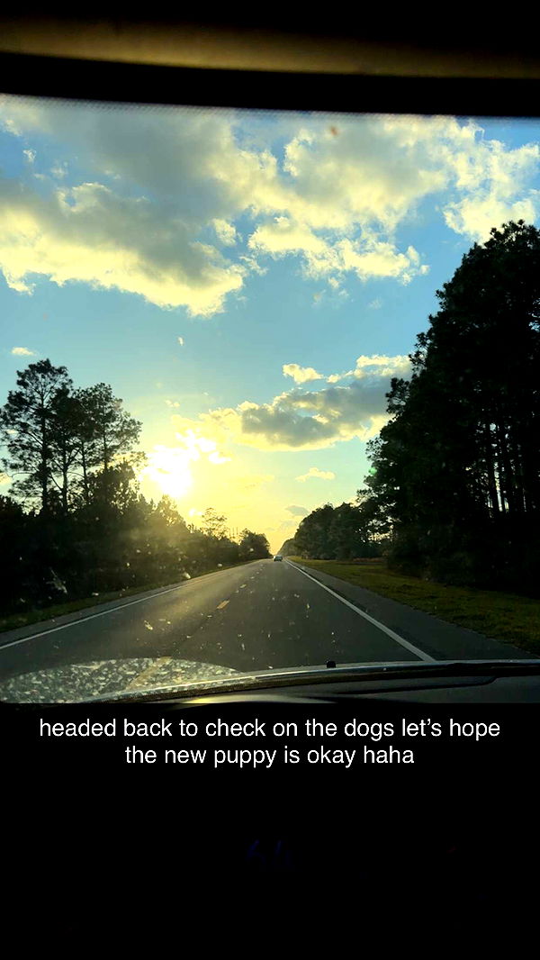 mckinley_1 image ~ Altpins