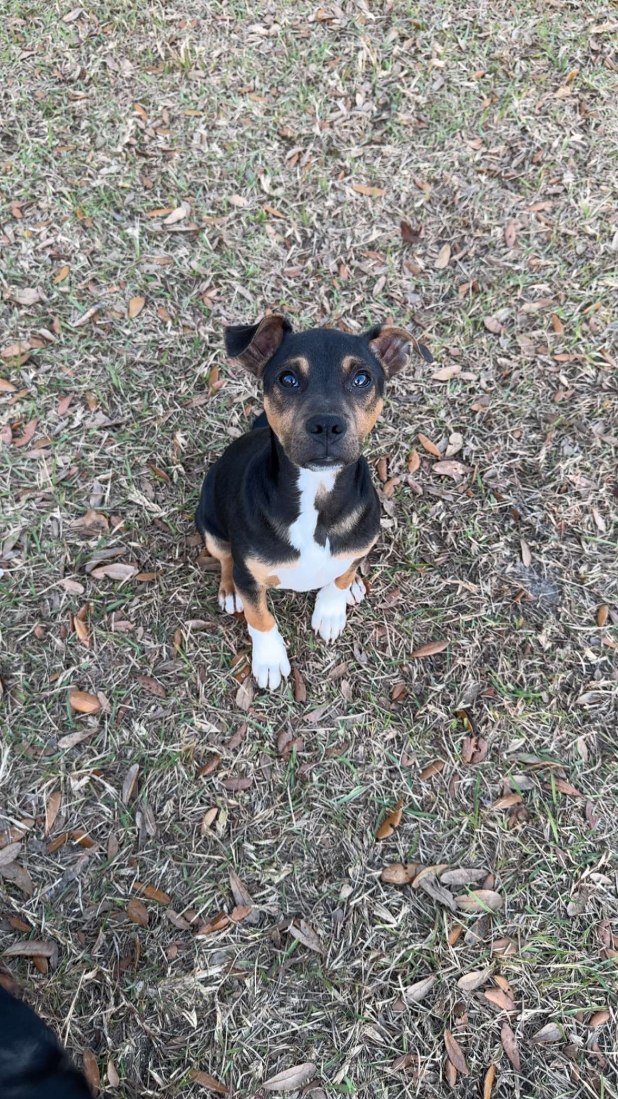 mckinley_1 snapchat image archive image