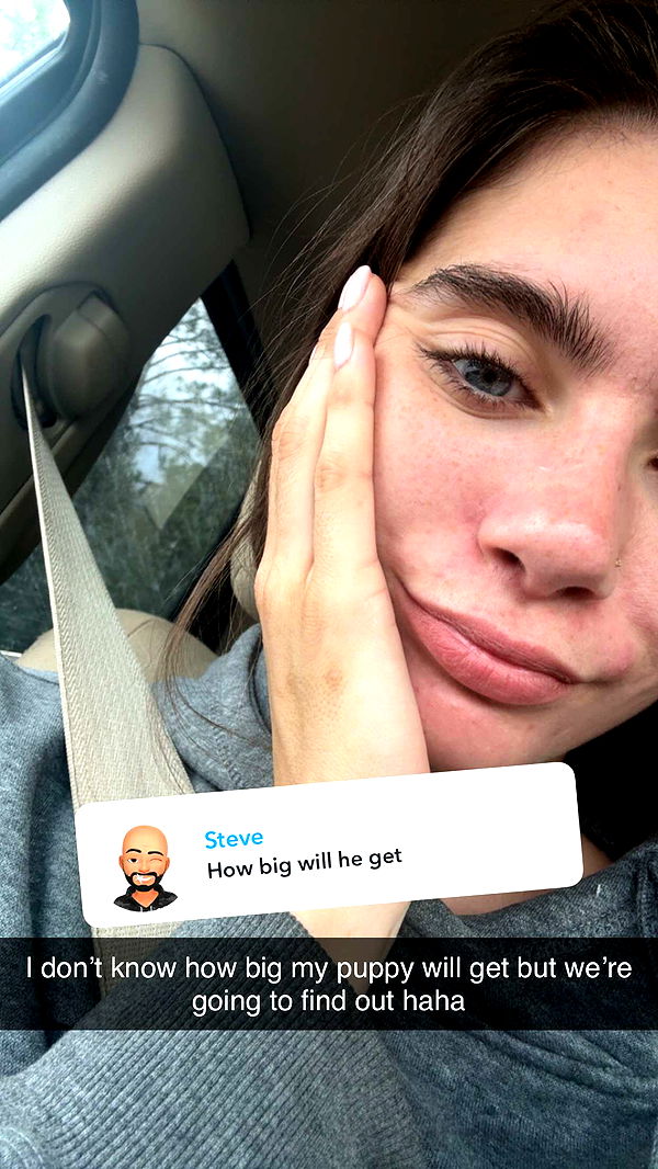 mckinley_1 image ~ Altpins